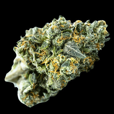 Terp Farmz - Blue Zushi Auto